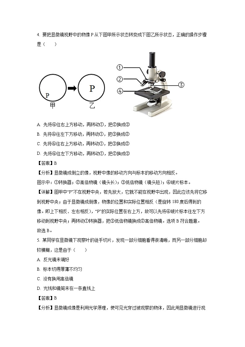2024-2025学年山东省枣庄市山亭区七年级(上)期中生物试卷(解析版)第3页