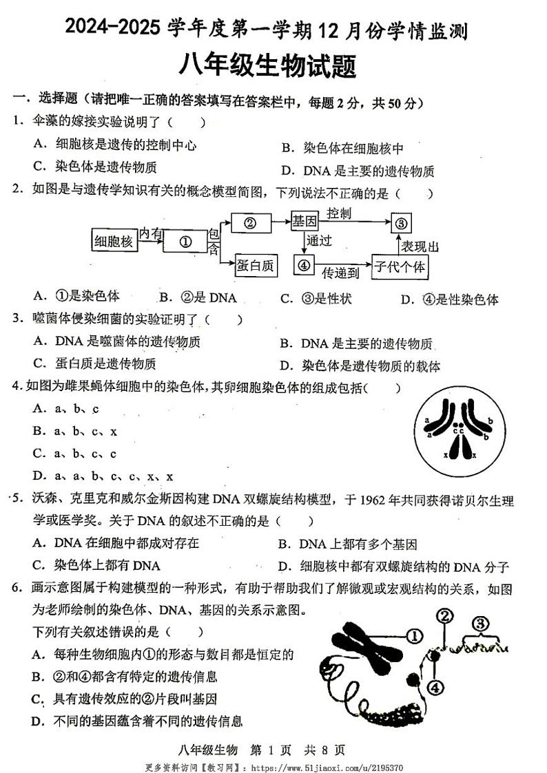 2024~2025学年山东省济宁市金乡县八年级(上)12月月考(学情监测)生物试卷(含答案)第1页