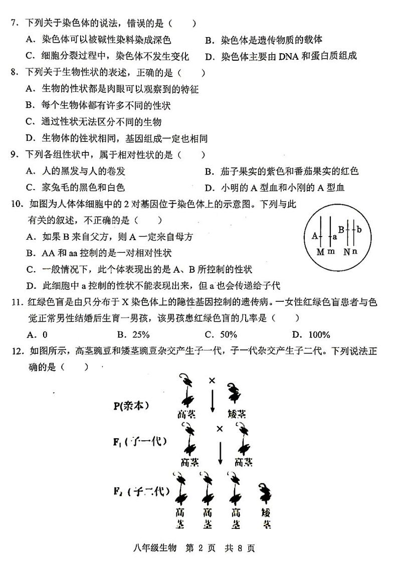 2024~2025学年山东省济宁市金乡县八年级(上)12月月考(学情监测)生物试卷(含答案)第2页
