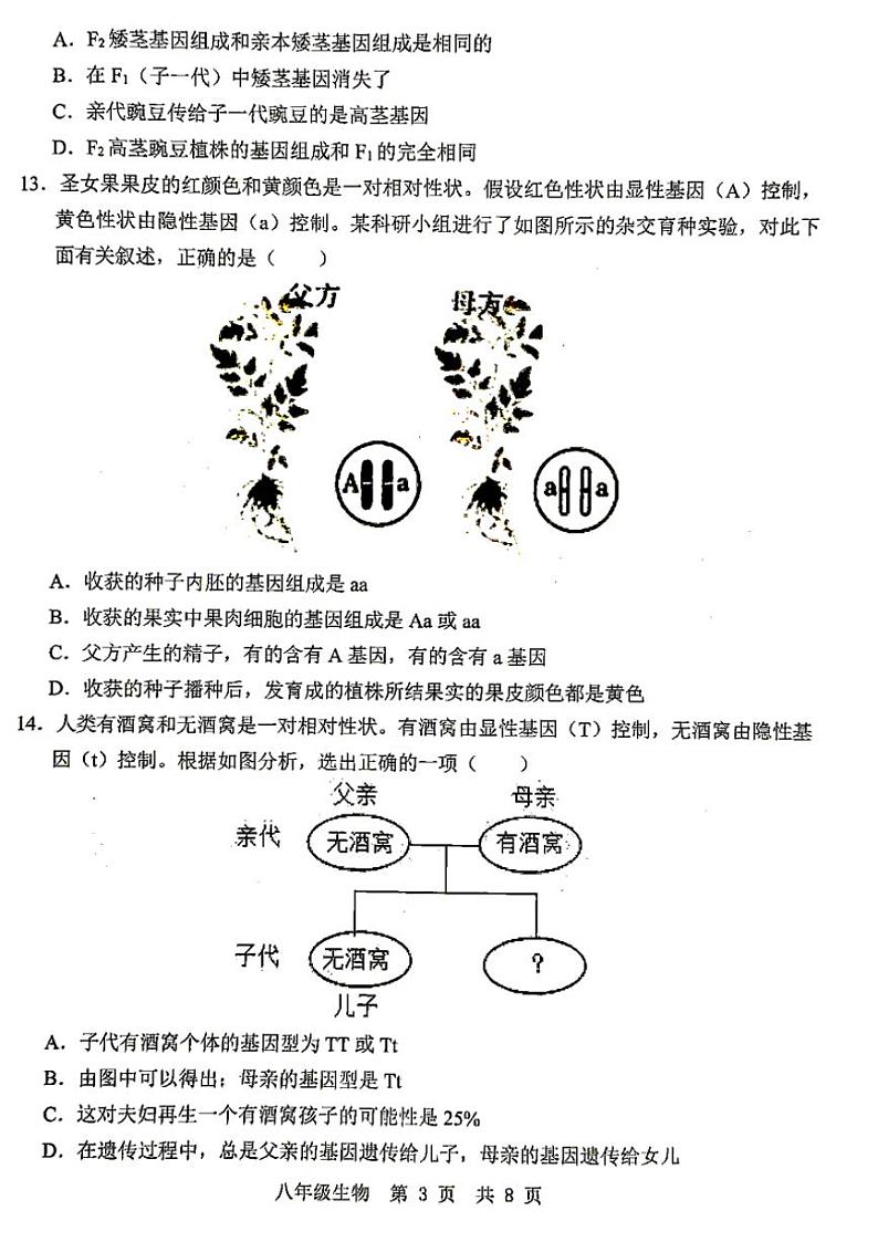 2024~2025学年山东省济宁市金乡县八年级(上)12月月考(学情监测)生物试卷(含答案)第3页