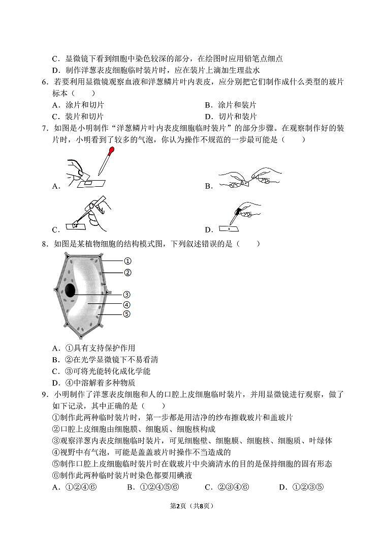 西光中学教育集团2024—2025学年第一学期月考二初一年级生物试题第2页
