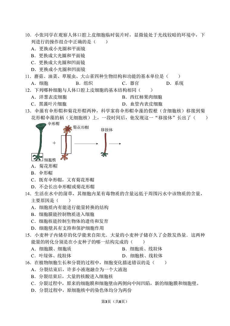 西光中学教育集团2024—2025学年第一学期月考二初一年级生物试题第3页