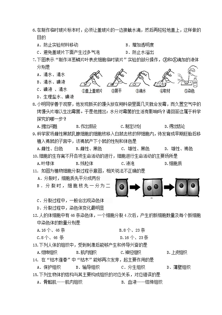 宁远县2024年下期七年级期中质量监测试卷 (1)(2)第2页