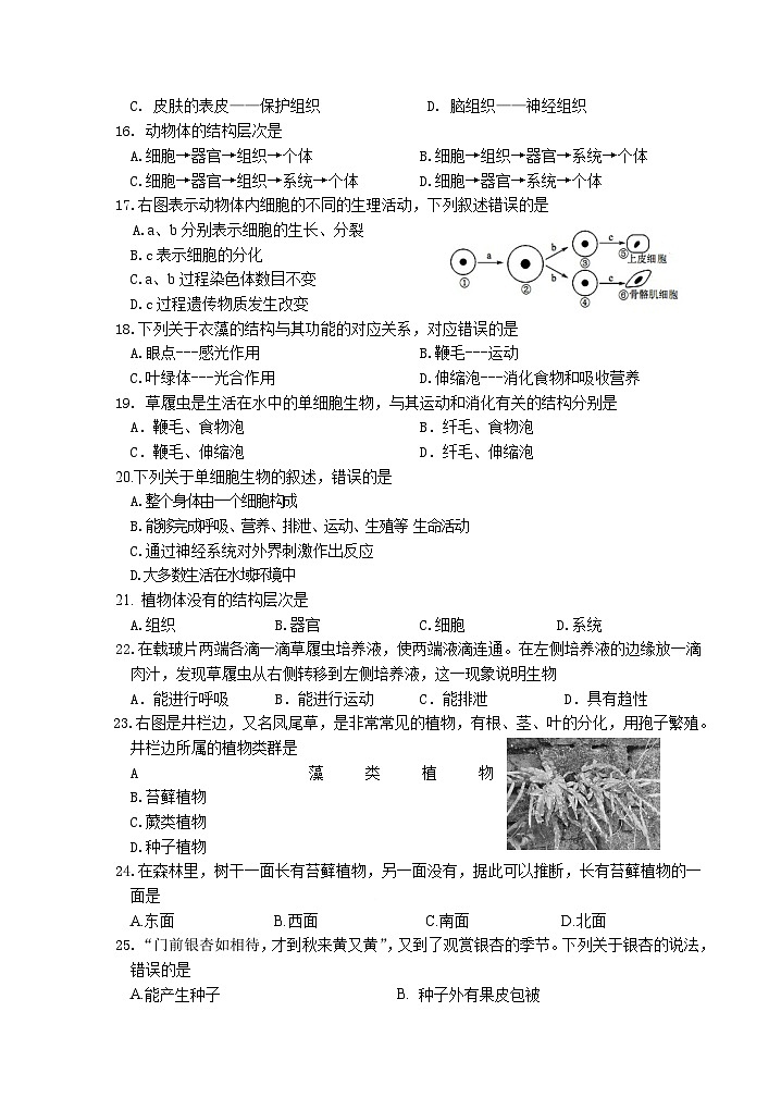 宁远县2024年下期七年级期中质量监测试卷 (1)(2)第3页