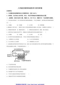2024～2025學(xué)年江蘇省鎮(zhèn)江市句容市八年級(jí)(上)期中生物試卷(含解析)