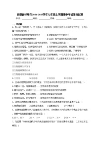 安徽省蚌埠市2024-2025学年七年级上学期期中考试生物试卷(含答案)