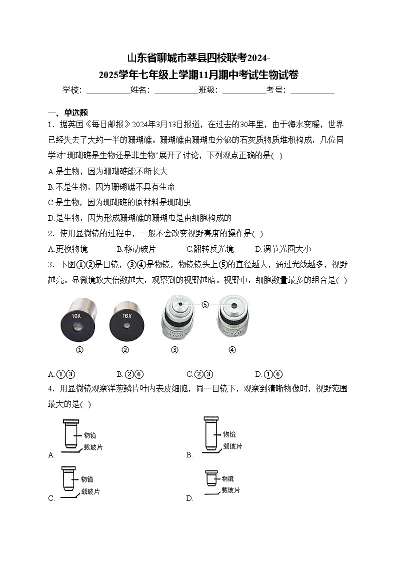 山东省聊城市莘县四校联考2024-2025学年七年级上学期11月期中考试生物试卷(含答案)第1页