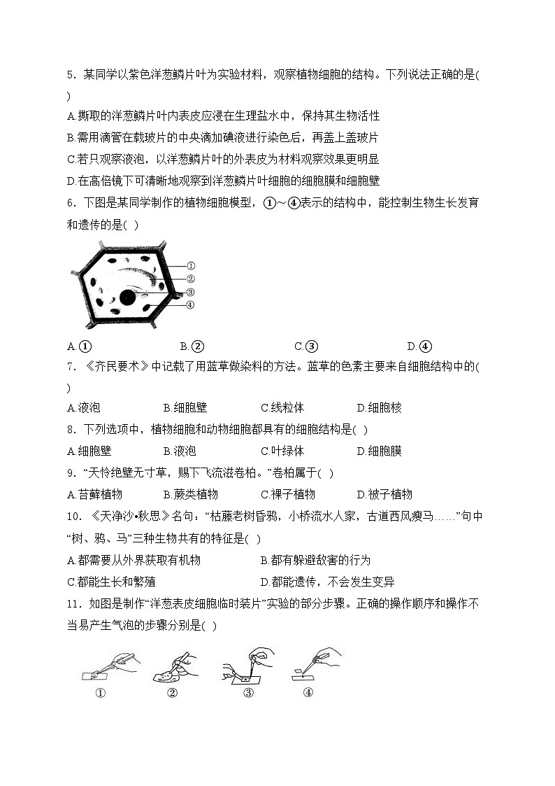 山东省聊城市莘县四校联考2024-2025学年七年级上学期11月期中考试生物试卷(含答案)第2页