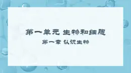 初中  生物  人教版（2024）  七年级上册第一节 观察周边环境中的生物 课件