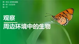 初中  生物  人教版（2024）  七年级上册第一节 观察周边环境中的生物 课件