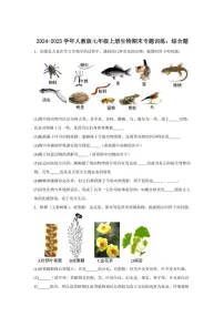 2024-2025学年人教版七年级上册生物期末专题训练：综合题（含答案）