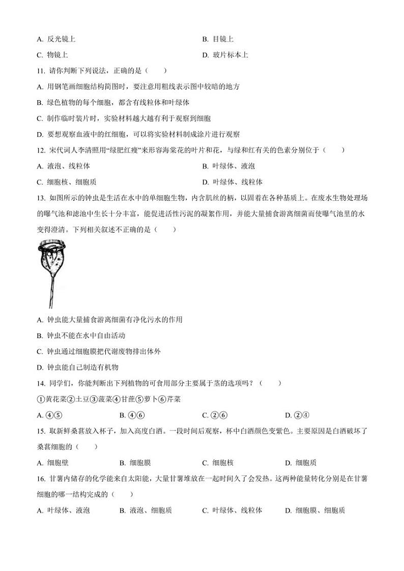 2024~2025学年河南省郑州市中牟县七年级(上)期中生物试卷(含答案)第3页