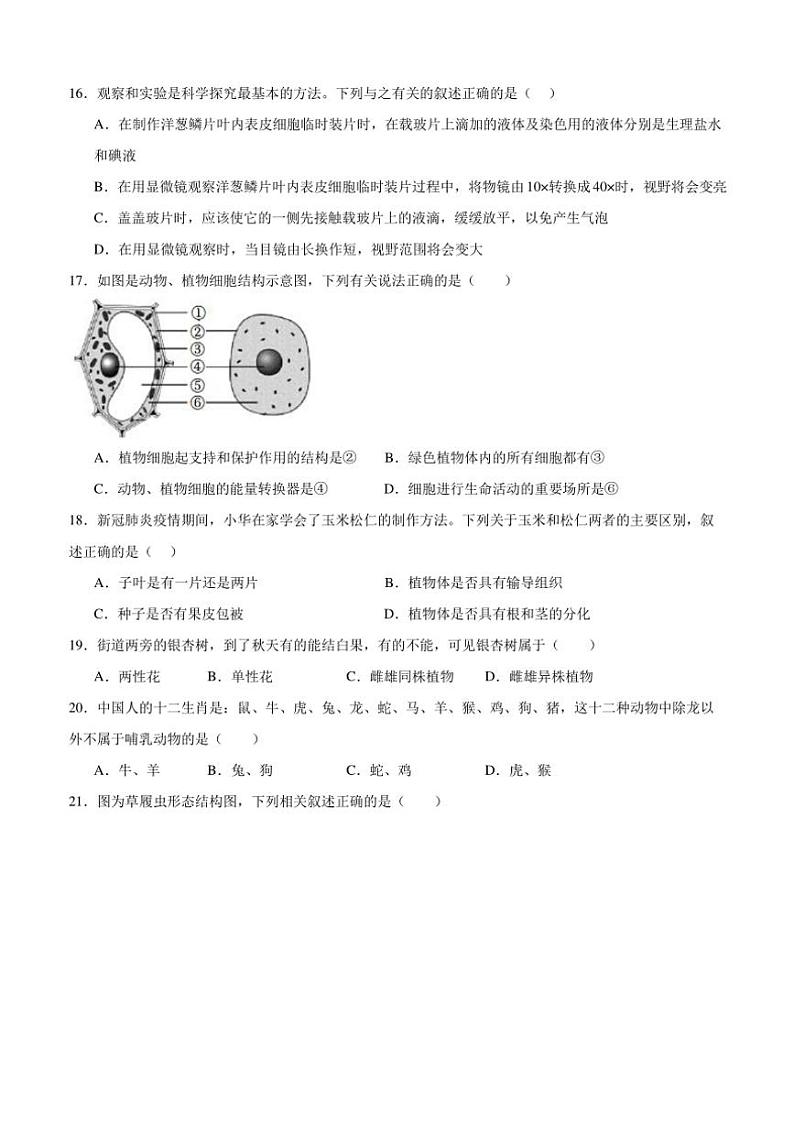2024~2025学年四川省泸州市泸县第五中学七年级(上)12月月考生物试卷(含答案)第3页