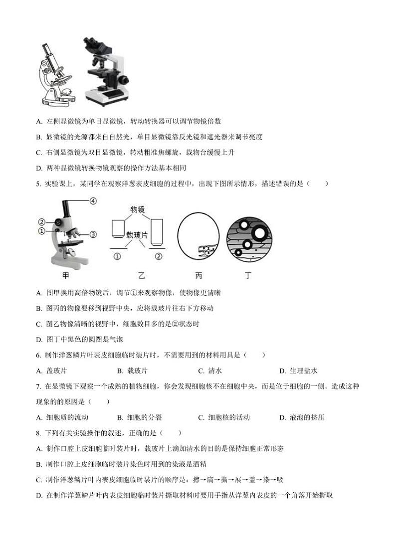 2024~2025学年陕西省咸阳市实验中学七年级(上)第二次质量检测生物试卷(含答案)第2页