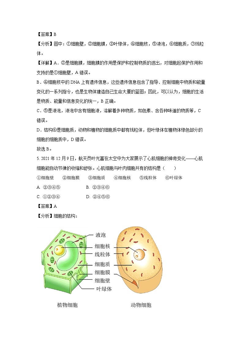 山东省济南市商河县2023-2024学年七年级(上)期末生物试卷(解析版)第3页