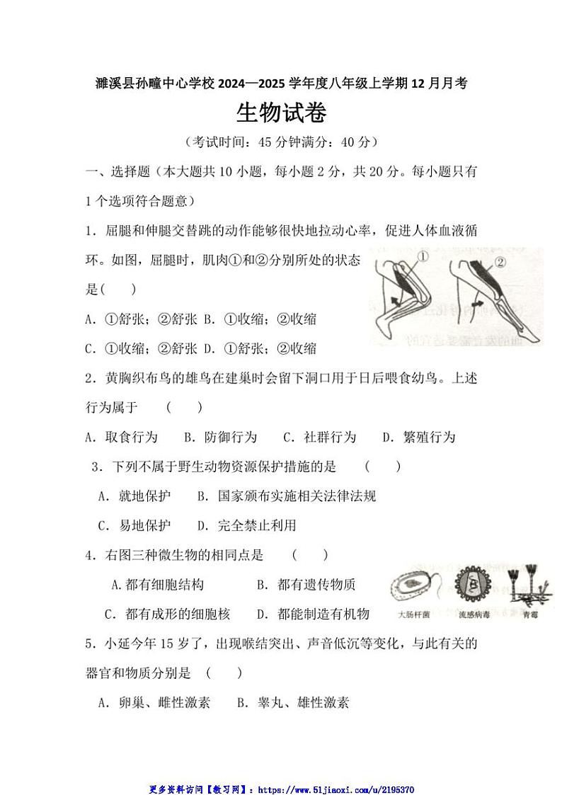 2024~2025学年安徽省淮北市濉溪县孙疃中心学校八年级(上)12月月考生物试卷(含答案)第1页