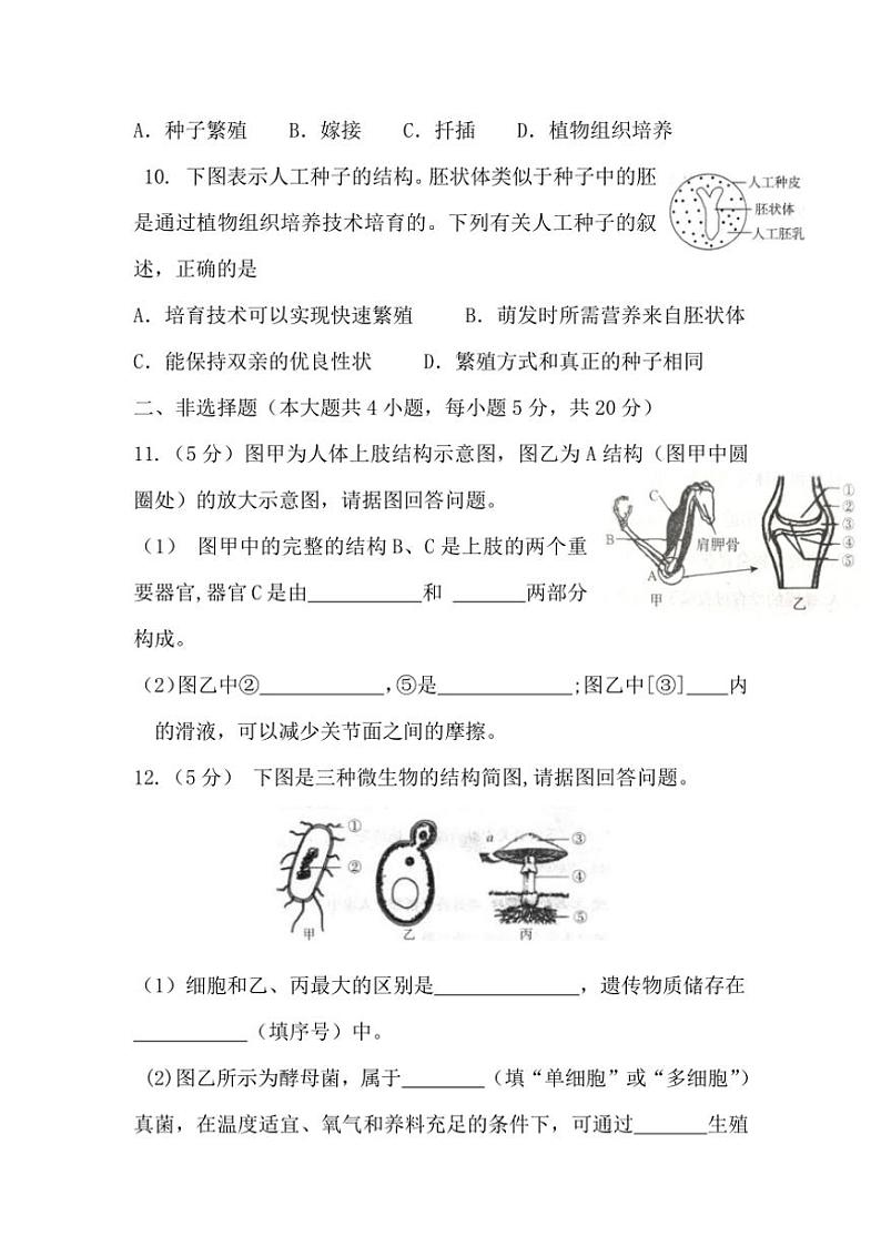2024~2025学年安徽省淮北市濉溪县孙疃中心学校八年级(上)12月月考生物试卷(含答案)第3页