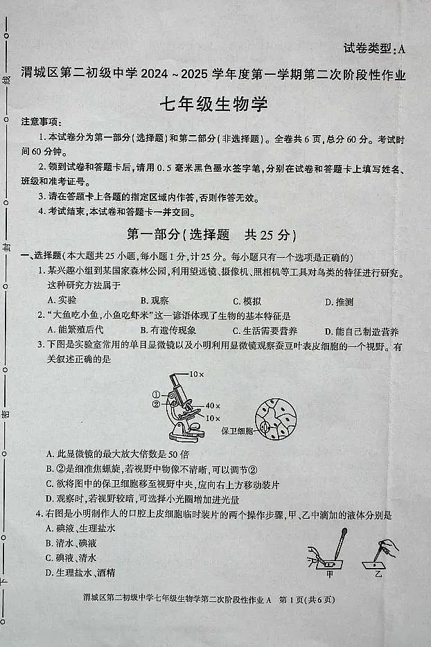 陕西省咸阳市渭城区第二初级中学2024-2025学年七年级生物第一学期第二次阶段性作业 第1页