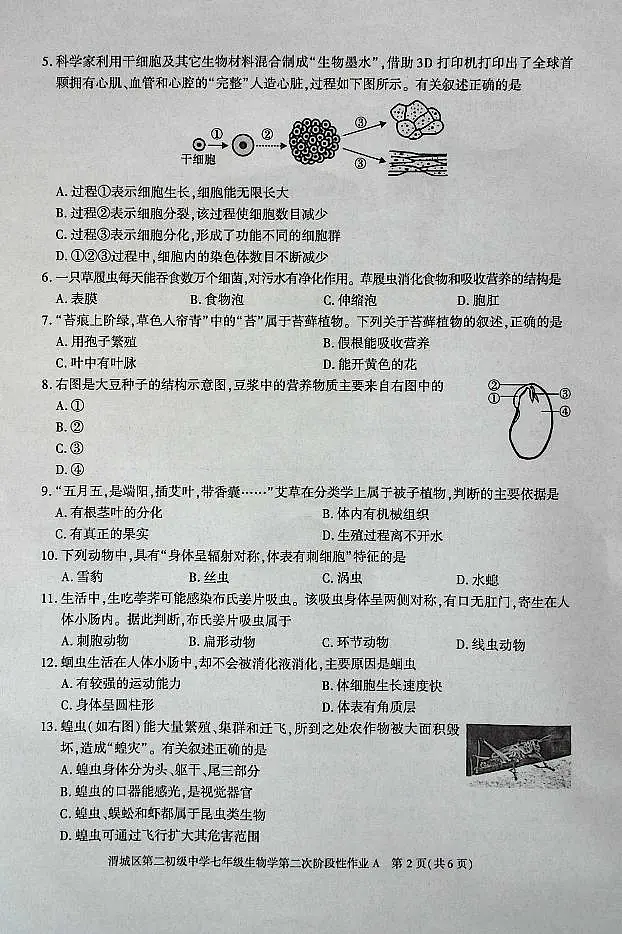 陕西省咸阳市渭城区第二初级中学2024-2025学年七年级生物第一学期第二次阶段性作业 第2页
