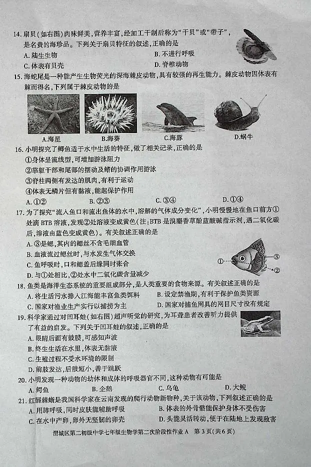 陕西省咸阳市渭城区第二初级中学2024-2025学年七年级生物第一学期第二次阶段性作业 第3页