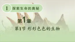 北师大版（2024）七年级生物上册1.1.1形形色色的生物精品课件