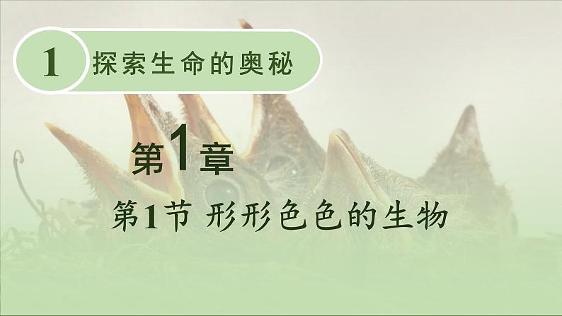 北师大版(2024)七年级生物上册1.1.1形形色色的生物精品课件第1页