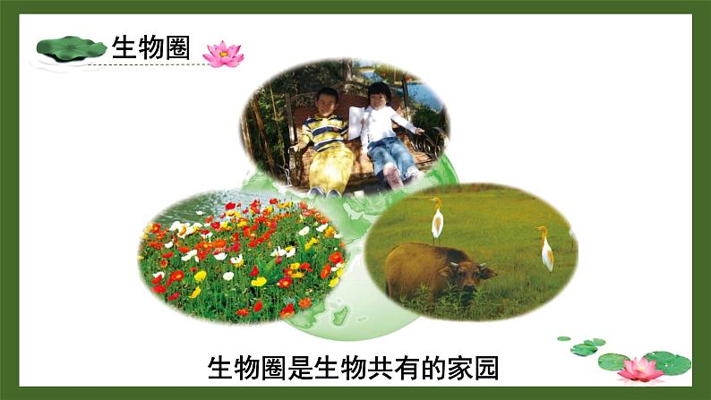 北师大版(2024)七年级生物上册1.1.1形形色色的生物精品课件第3页