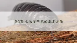 北师大版（2024）七年级生物上册1.1.3生物学研究的基本方法精品课件