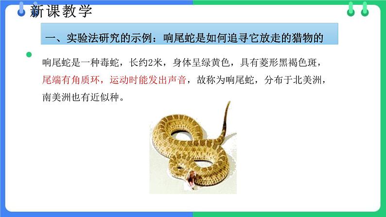 北师大版(2024)七年级生物上册1.1.3生物学研究的基本方法ppt课件第5页