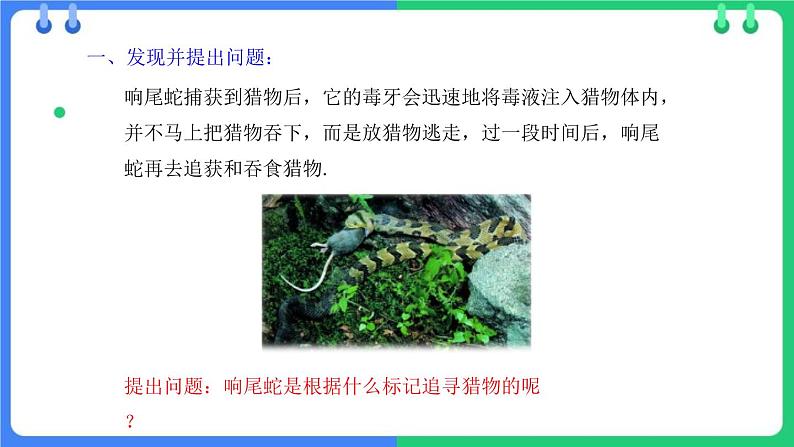 北师大版(2024)七年级生物上册1.1.3生物学研究的基本方法ppt课件第7页