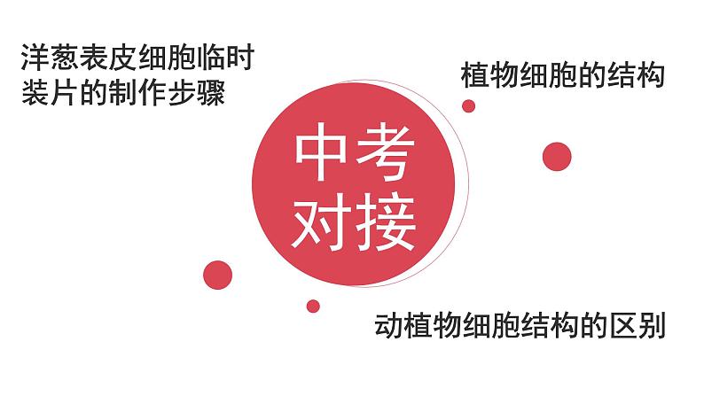 北师大版(2024)七年级生物上册2.2.1细胞的基本结构和功能课件第3页