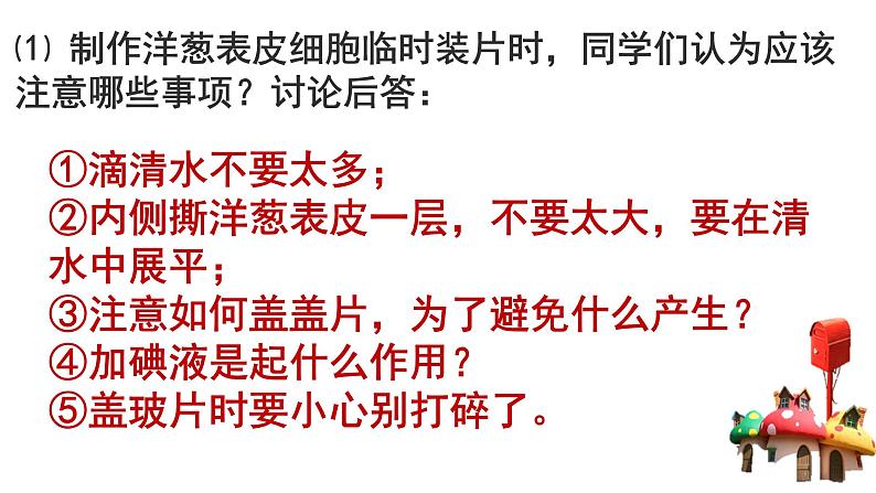北师大版(2024)七年级生物上册2.2.1细胞的基本结构和功能课件第6页