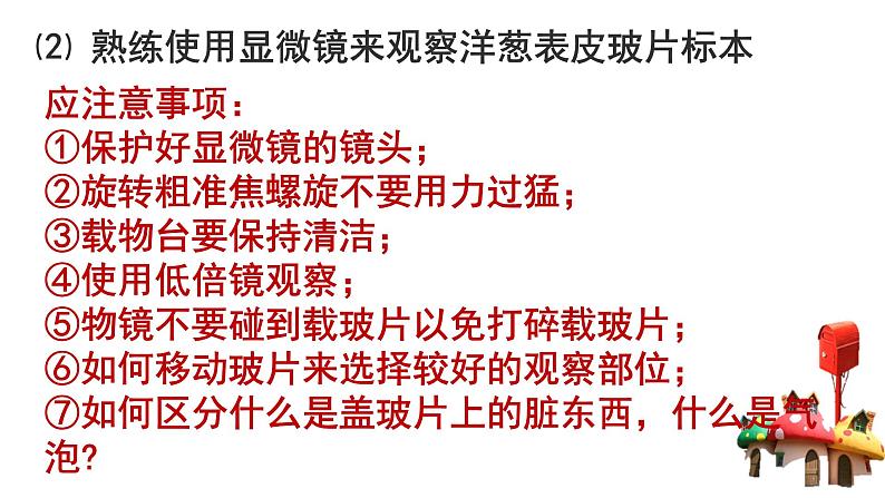 北师大版(2024)七年级生物上册2.2.1细胞的基本结构和功能课件第8页