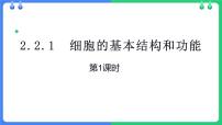 生物七年级上册(2024)第1节 细胞的基本结构和功能课前预习ppt课件