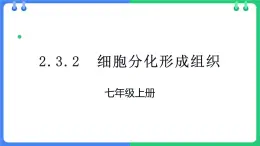 北师大版（2024）七年级生物上册2.3.2细胞分化形成组织精品ppt课件