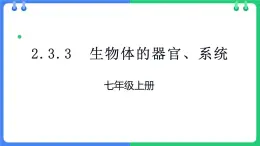 北师大版（2024）七年级生物上册2.3.3生物体的器官、系统ppt精品课件