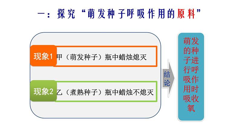 北师大版(2024)七年级生物上册3.4.2呼吸作用课件第7页