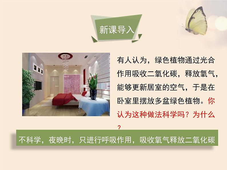 北师大版(2024)七年级生物上册3.4.2呼吸作用ppt课件第3页