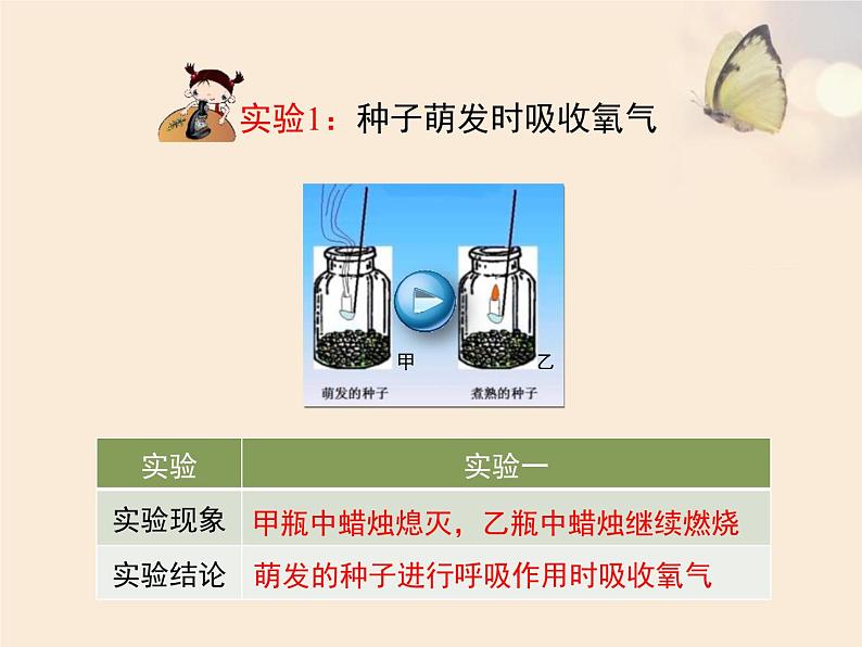 北师大版(2024)七年级生物上册3.4.2呼吸作用ppt课件第6页