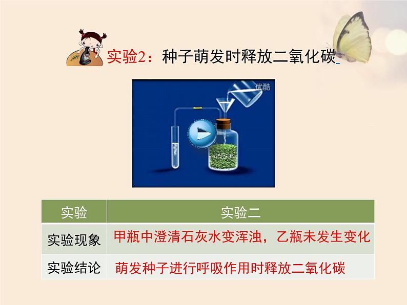 北师大版(2024)七年级生物上册3.4.2呼吸作用ppt课件第7页