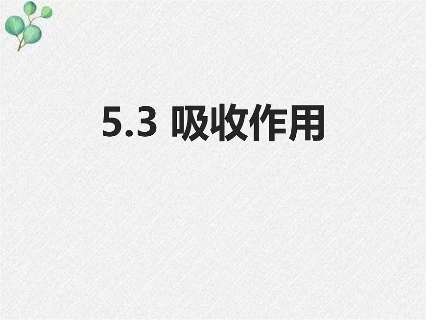 北師大版(2024)七年級(jí)生物上冊(cè)3.4.3吸收作用精品ppt課件第1頁(yè)