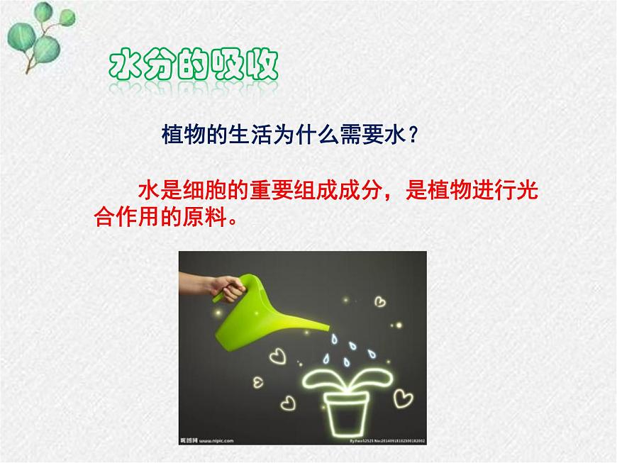 北師大版(2024)七年級(jí)生物上冊(cè)3.4.3吸收作用精品ppt課件第3頁(yè)