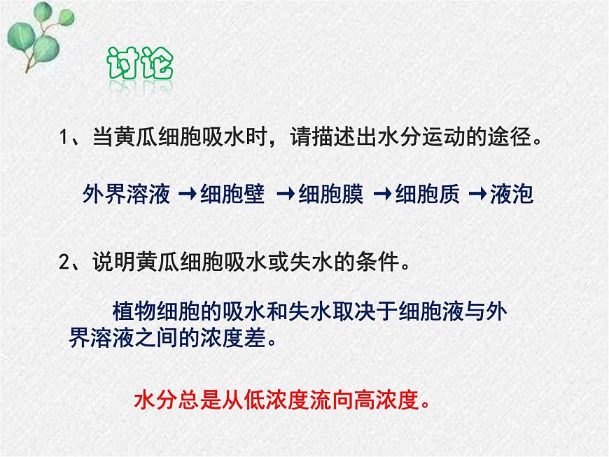 北師大版(2024)七年級(jí)生物上冊(cè)3.4.3吸收作用精品ppt課件第6頁(yè)
