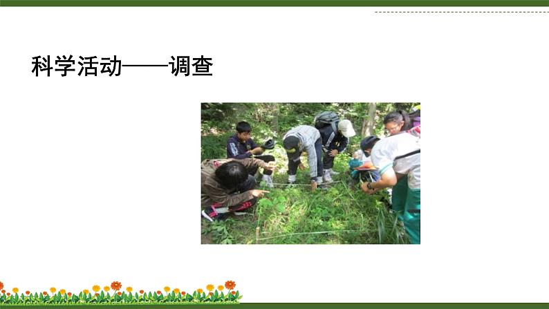 北师大版(2024)七年级生物上册1.1.2生物学是研究生命的科学课件第4页