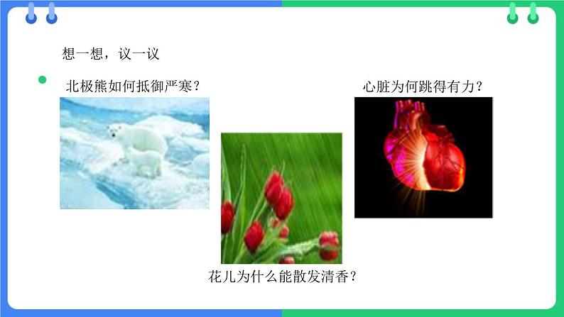 北师大版(2024)七年级生物上册1.1.2生物学是研究生命的科学课件第5页