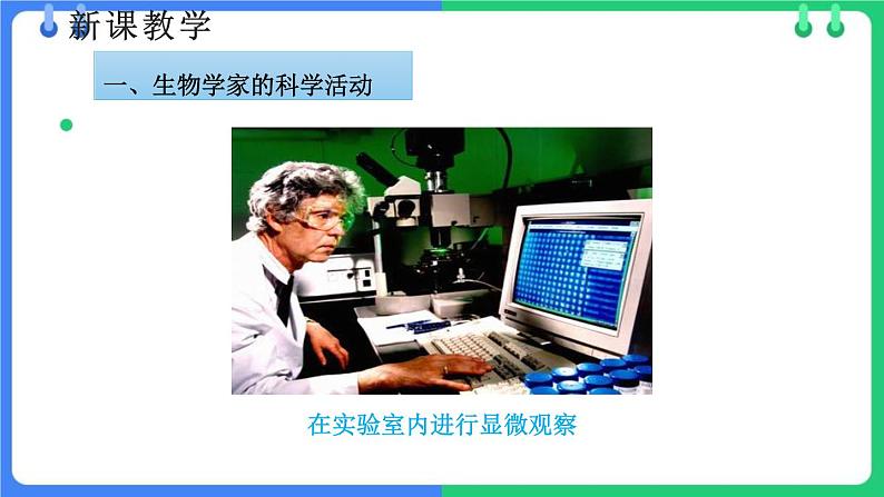 北师大版(2024)七年级生物上册1.1.2生物学是研究生命的科学课件第6页