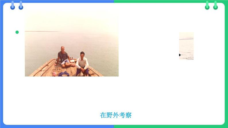 北师大版(2024)七年级生物上册1.1.2生物学是研究生命的科学课件第7页