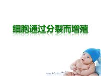 北师大版(2024)七年级上册(2024)第1节 细胞通过分裂而增值说课ppt课件