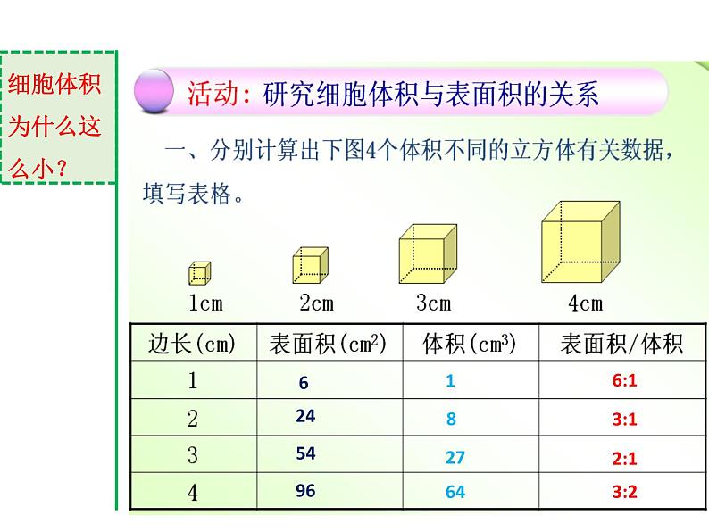 北师大版(2024)七年级生物上册2.3.1细胞通过分裂而增殖课件第4页
