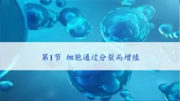 北师大版（2024）七年级生物上册2.3.1细胞通过分裂而增殖课件